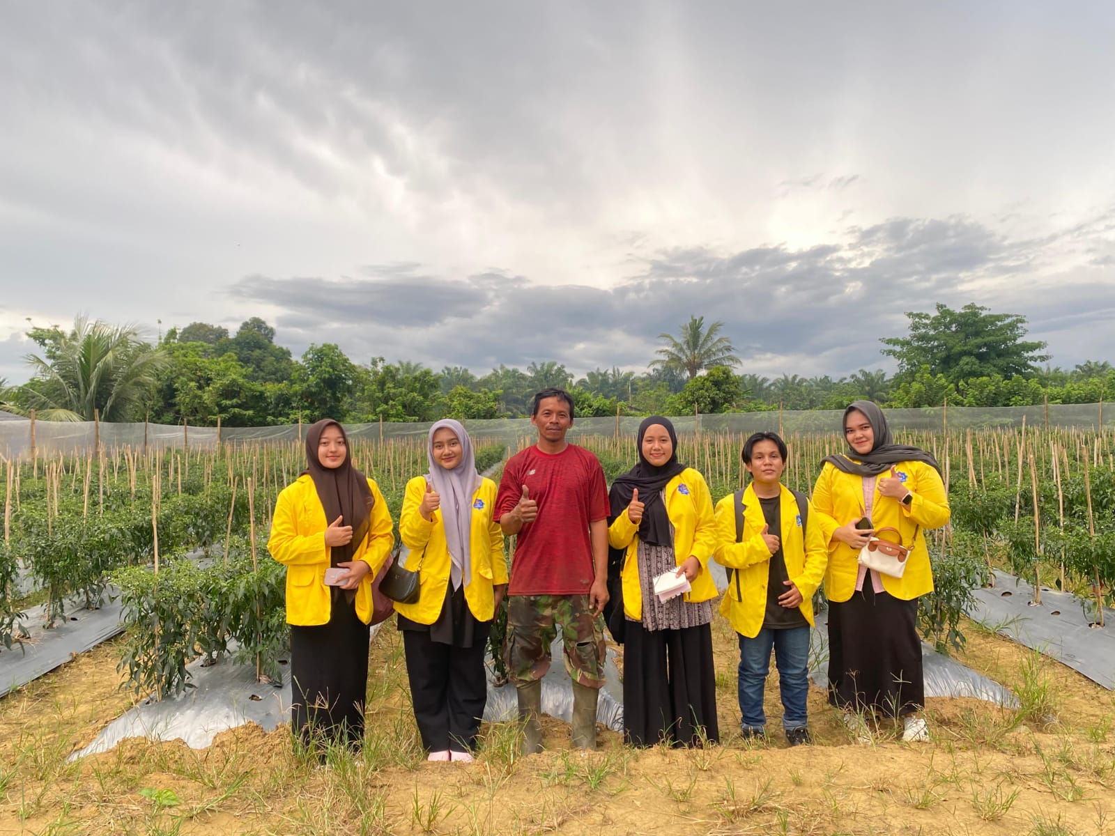 AgriConnect - Produk Segar