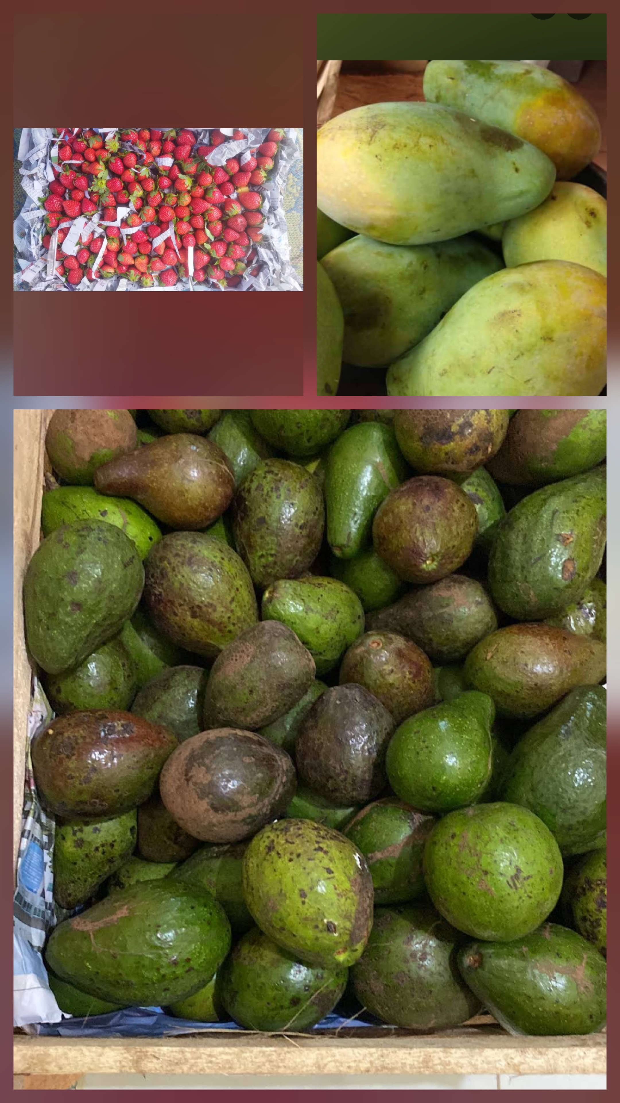 Buah-buahan segar